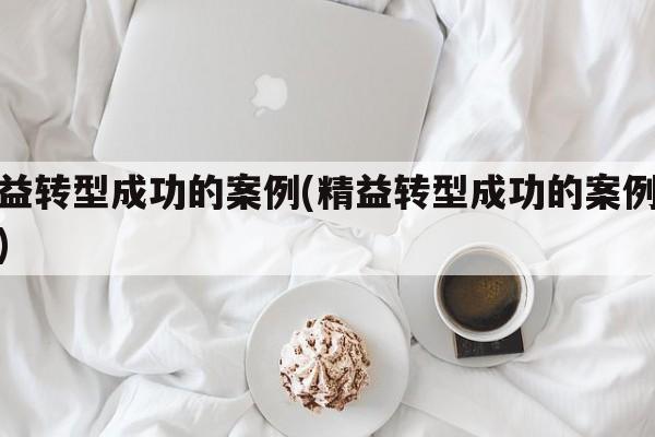 精益转型成功的案例(精益转型成功的案例分析)